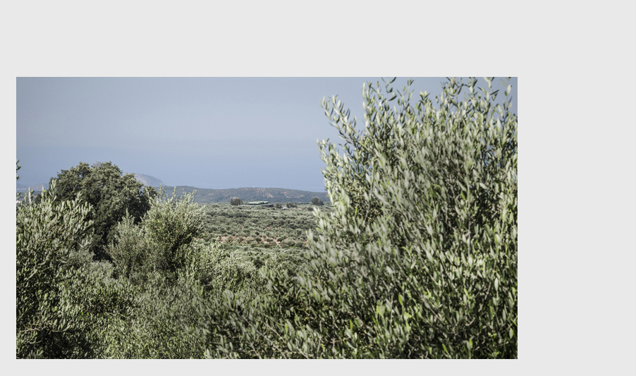 agrop-001. Agropoly, olive oil processing unit. Pylos, Greece. Archi: Dimitris Thomopoulos.