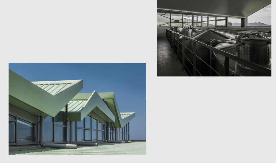 agrop-005. Agropoly, olive oil processing unit. Pylos, Greece. Archi: Dimitris Thomopoulos.